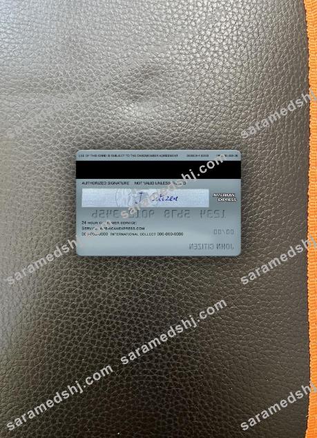 USA Discover bank AMEX platinum card photolook back